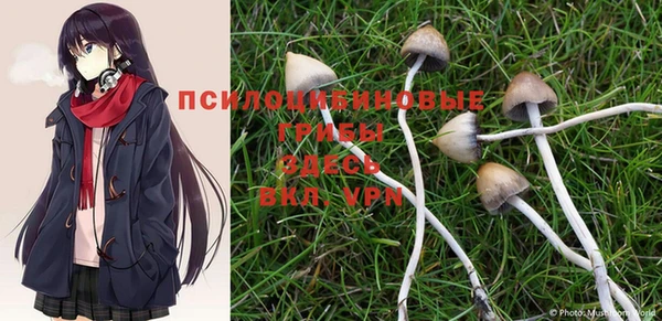 MESCALINE Кинешма