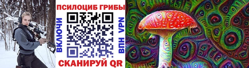 Купить где  Новоалександровск  Псилоцибиновые грибы прущие грибы 