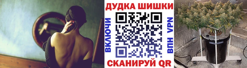 Купить  Новоалександровск  Конопля AK-47 